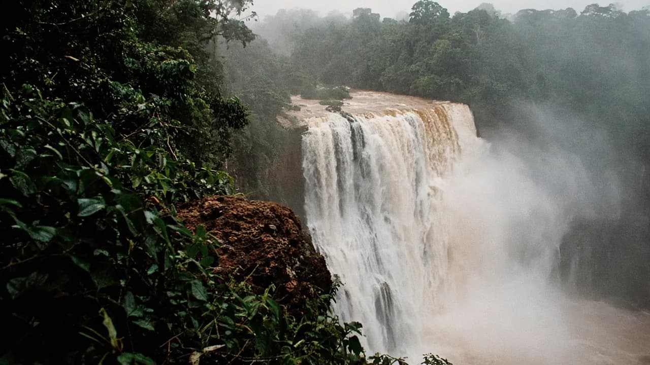 Photo d'ambiance : Guyana