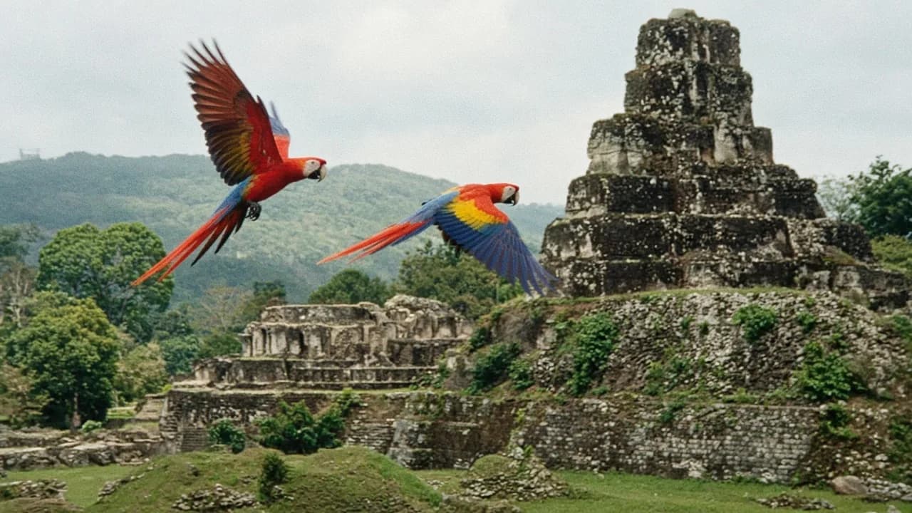 Photo d'ambiance : Honduras